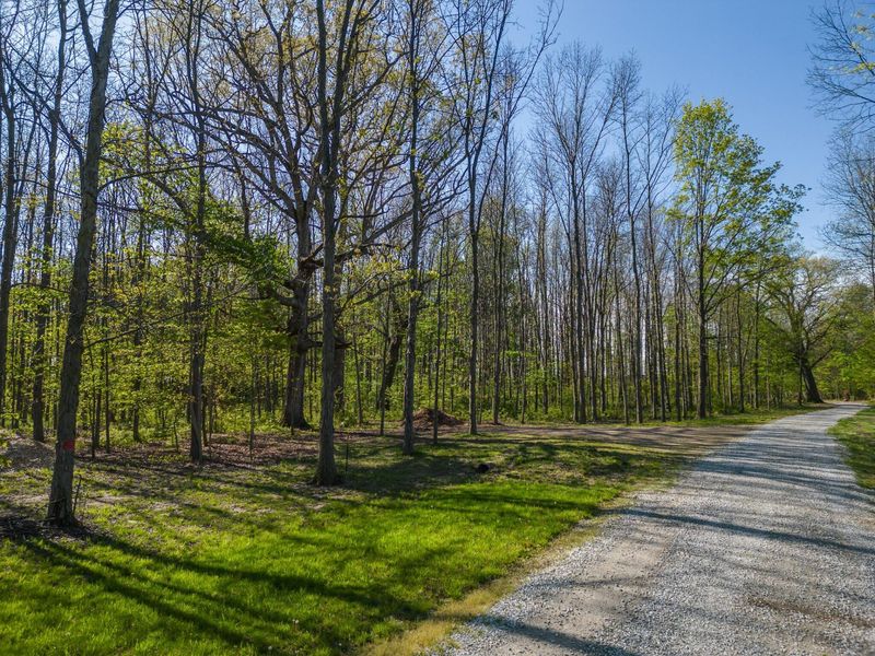 5387 Dildine Road, Delaware, OH 43015 Photo 12