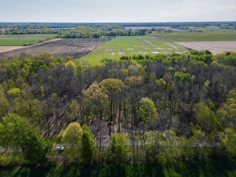 5387 Dildine Road, Delaware, OH 43015 Photo 19