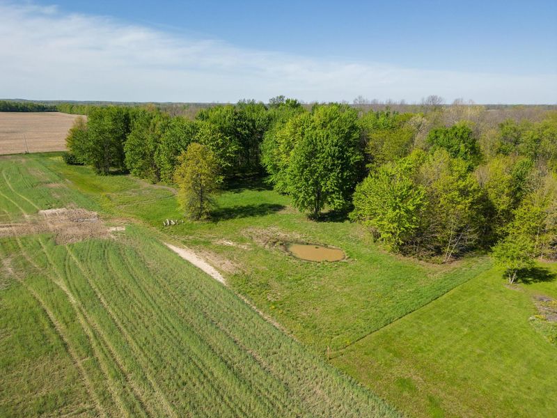 5387 Dildine Road, Delaware, OH 43015 Photo 29