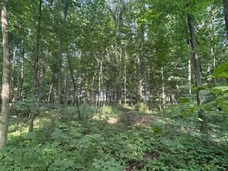 5387 Dildine Road, Delaware, OH 43015 Photo 3