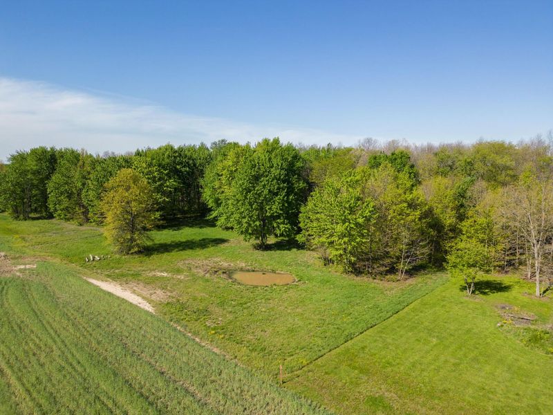 5387 Dildine Road, Delaware, OH 43015 Photo 31