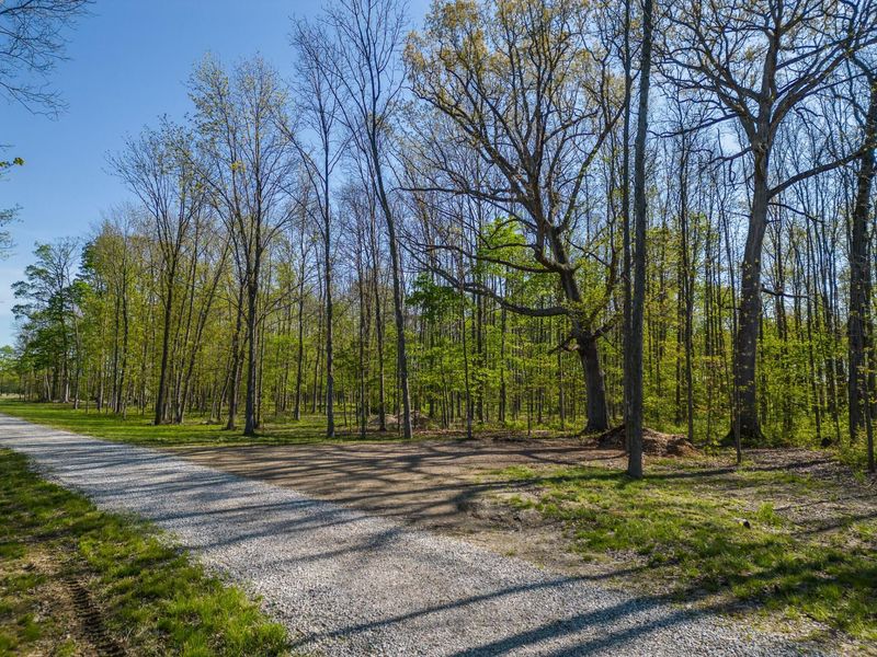 5387 Dildine Road, Delaware, OH 43015 Photo 8