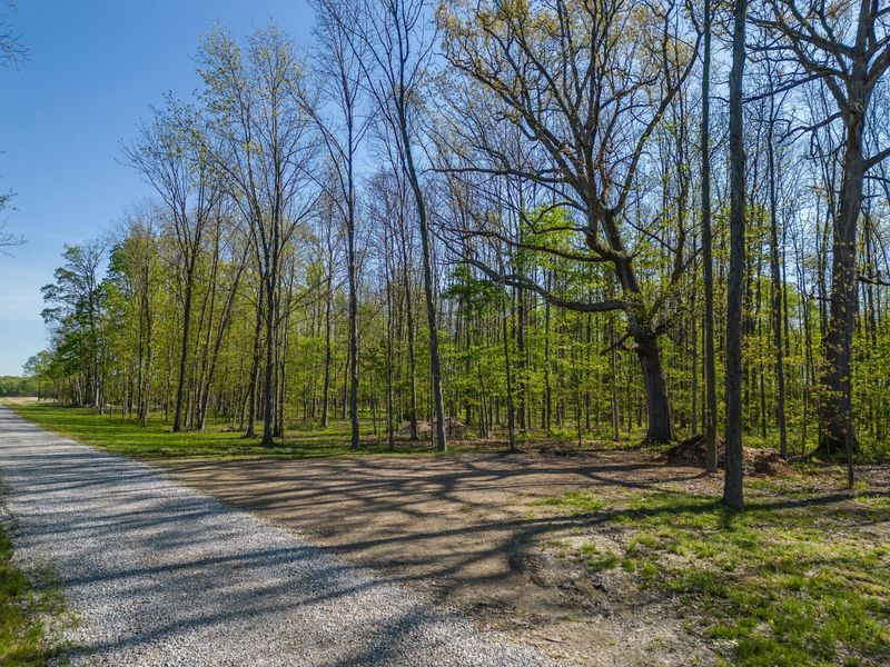 5387 Dildine Road, Delaware, OH 43015 Photo 9
