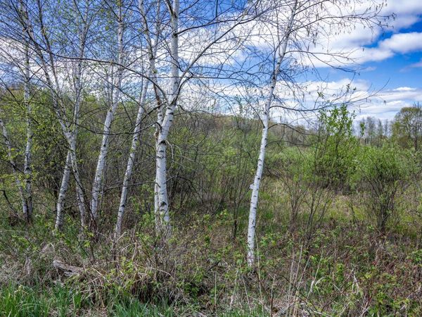 70 acres 22nd Street, Necedah, WI 54646