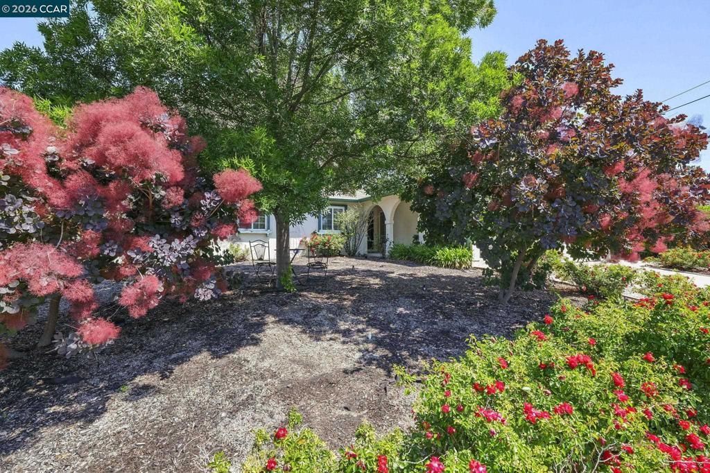 2259 Shasta Ct, Martinez, CA 94553 Main Photo