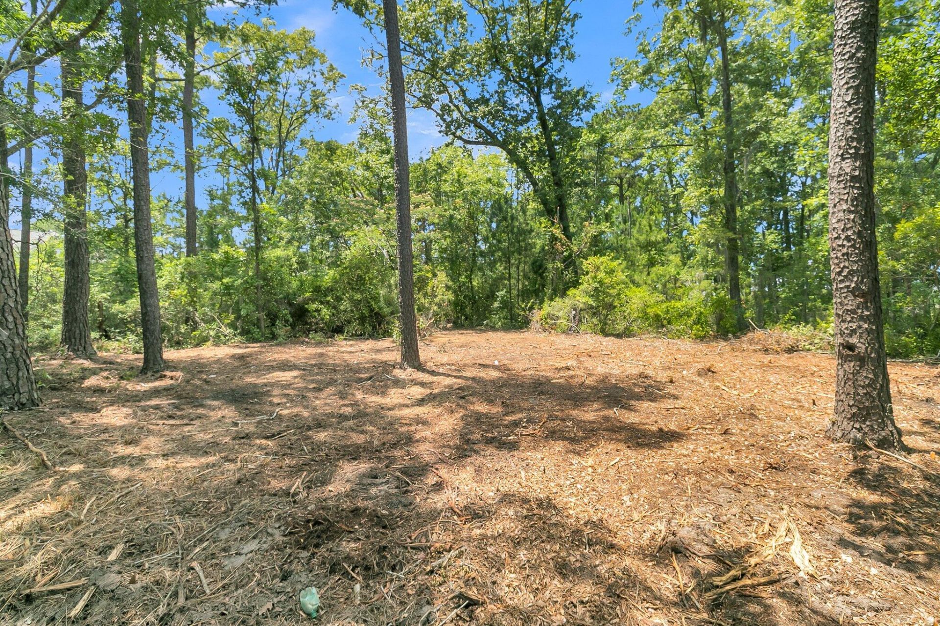 94 Lady Banks Lane Photo 25