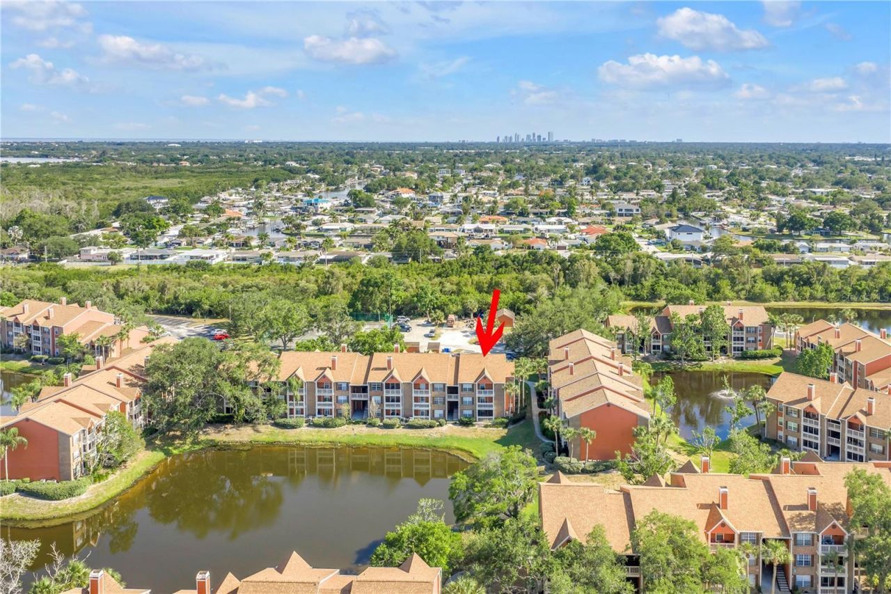 10200 Gandy Boulevard N, Unit 807, Saint Petersburg, FL 33702 Photo