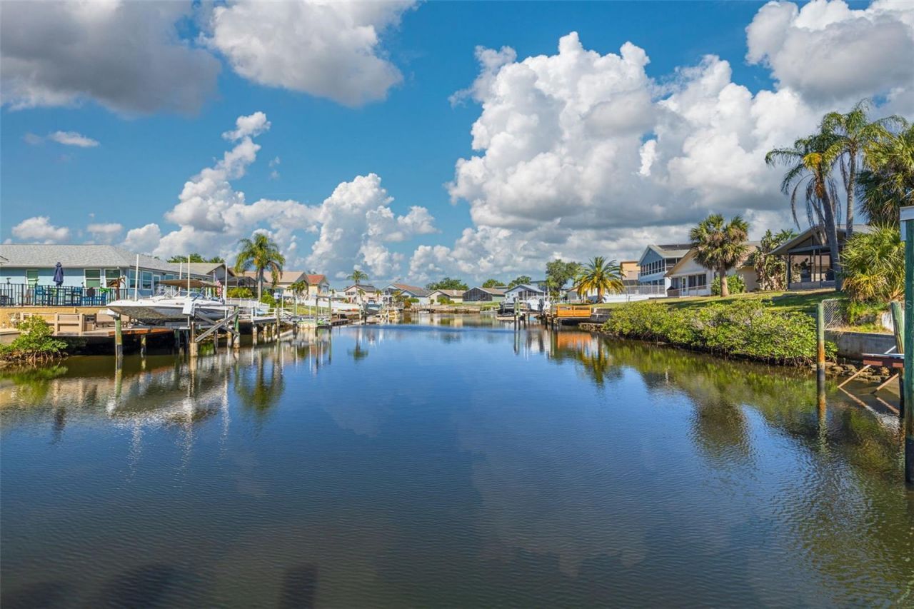 6291 Spoonbill Drive, New Port Richey, FL 34652 Photo