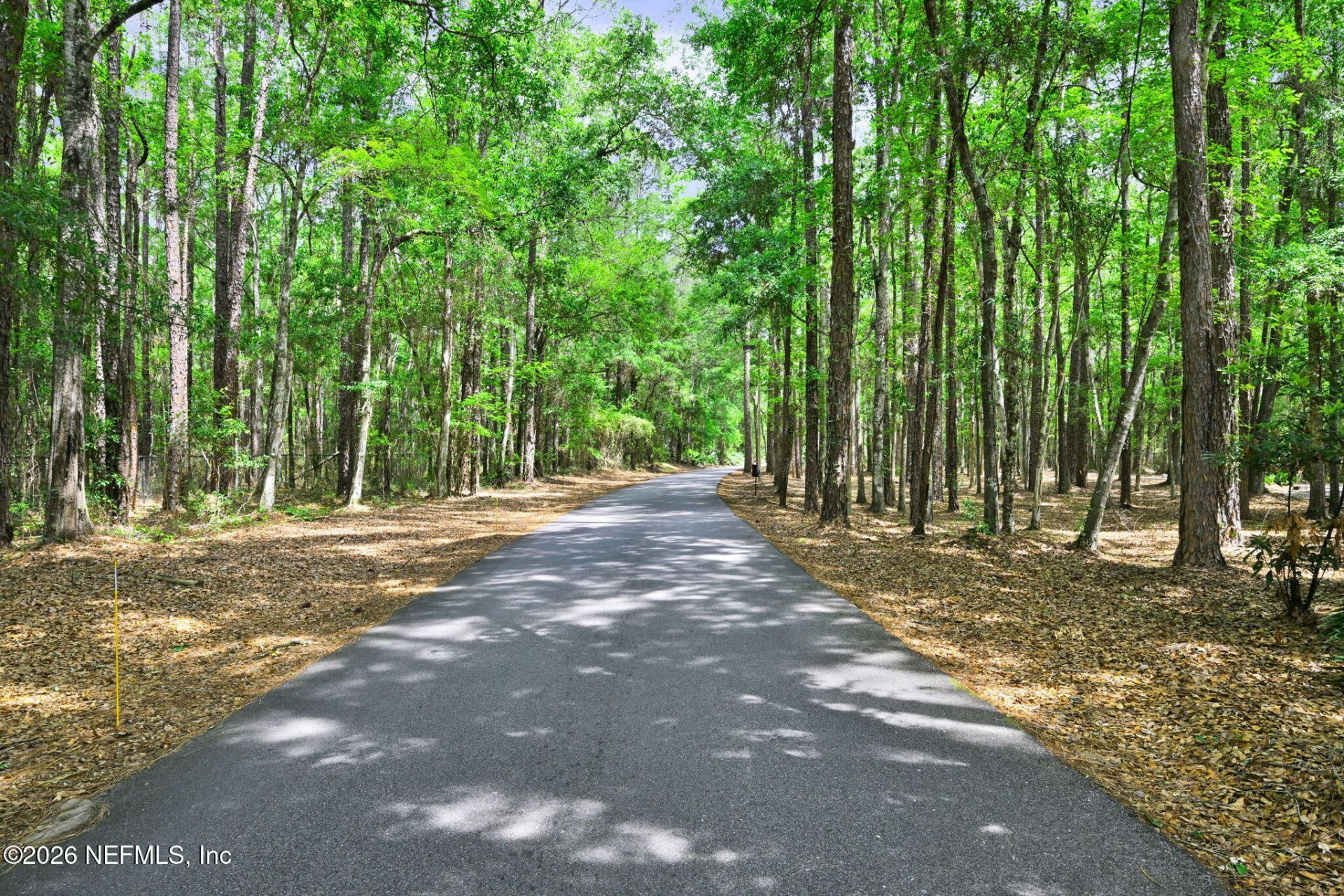 2910 Ravines Road, Unit 1108, Middleburg, FL 32068 Photo