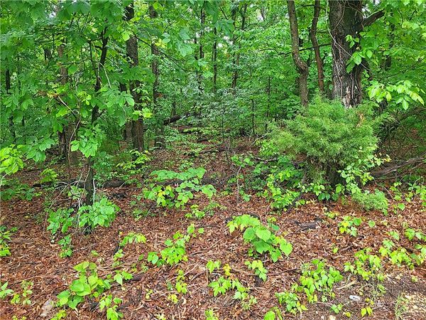 Hadleigh Lane , Bella Vista, AR 72714