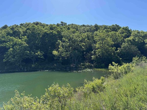 TBD S Pineridge Road , Horseshoe Bend, AR 72512