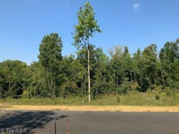 7614 Whisper Hollow Lane , Lewisville, NC 27023