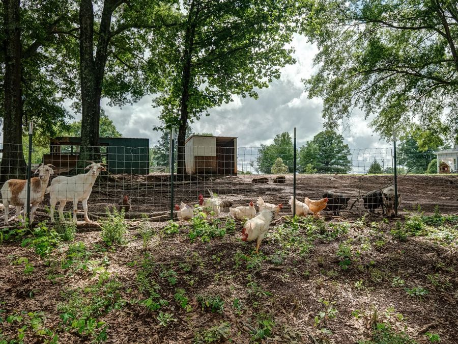 Property Image 68