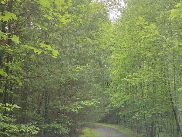 LOT 14 Noontootla Ridge Court, Blue Ridge, GA 30513