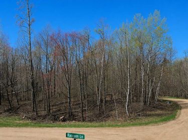 TBD Flower Trail , Breezy Point, MN 56472