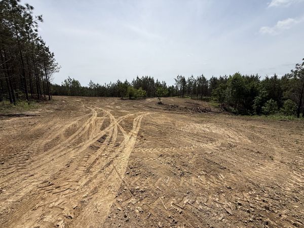 0 Hwy 231 , Erin, TN 37061