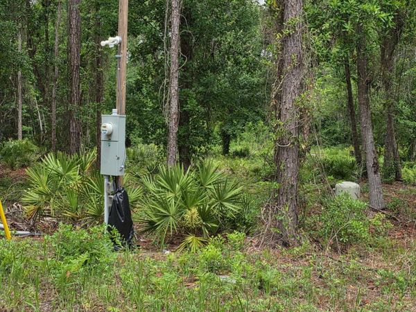 109 ANNE Boulevard, Georgetown, FL 32139