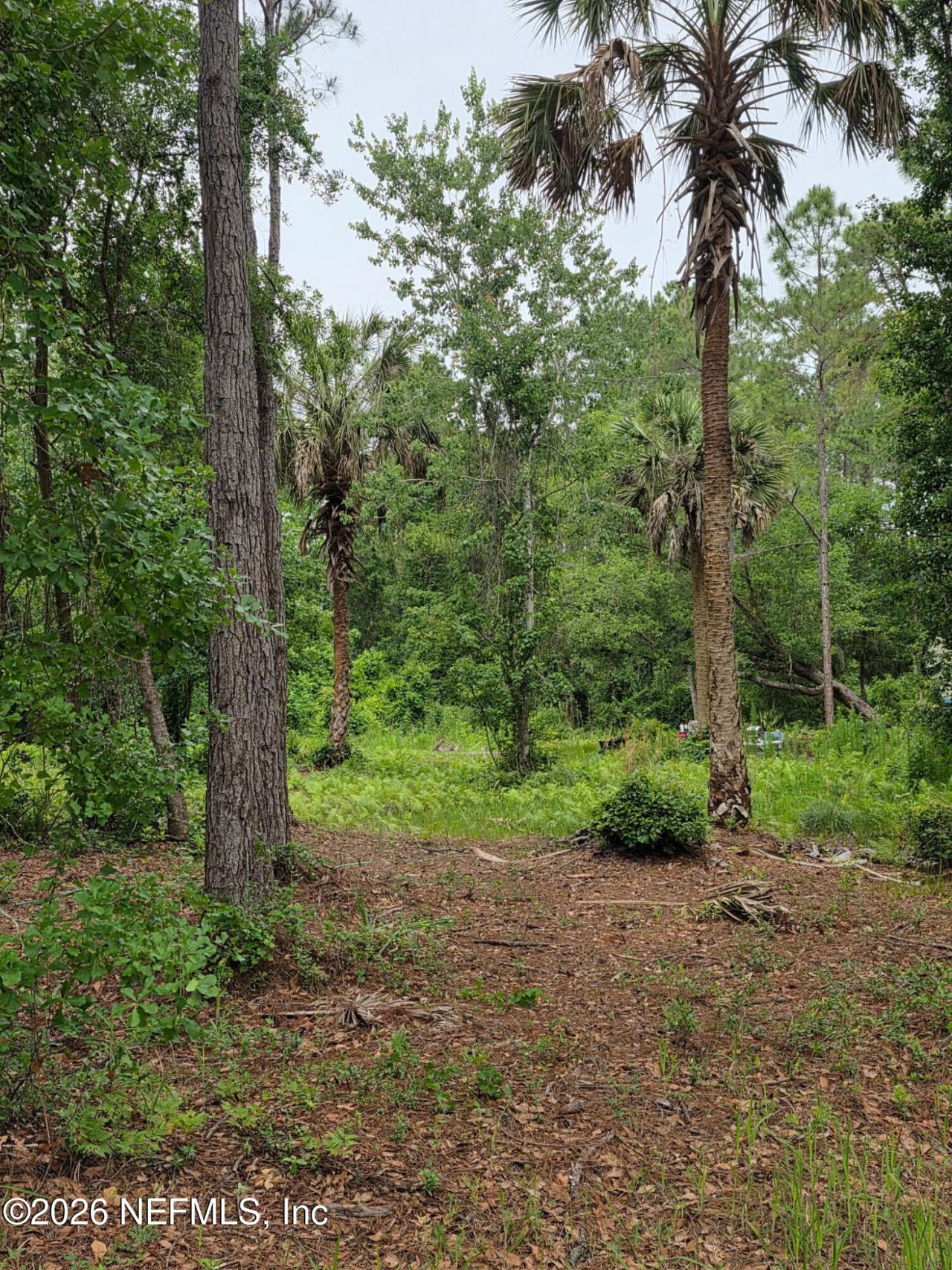 109 Anne Boulevard, Georgetown, FL 32139 Photo