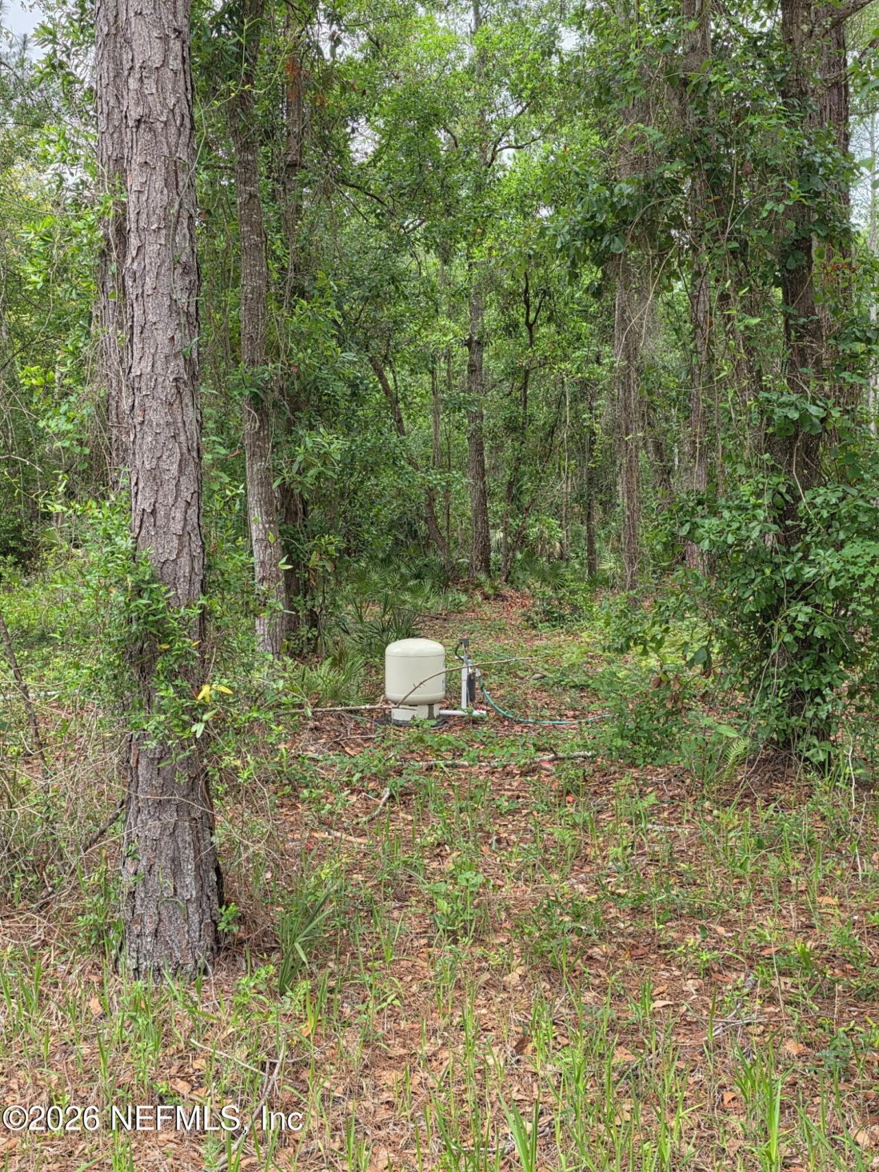 109 Anne Boulevard, Georgetown, FL 32139 Photo