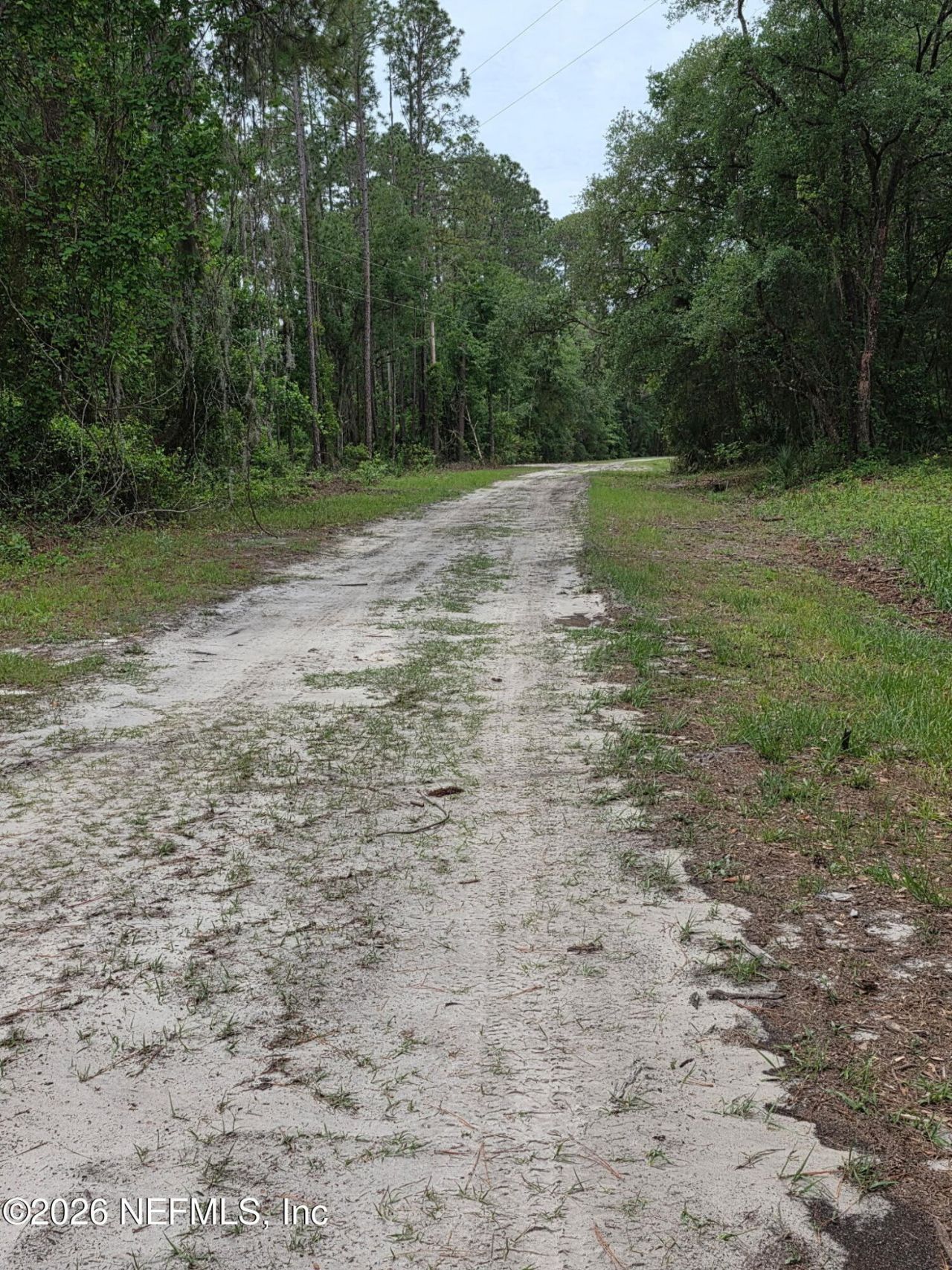 109 Anne Boulevard, Georgetown, FL 32139 Photo