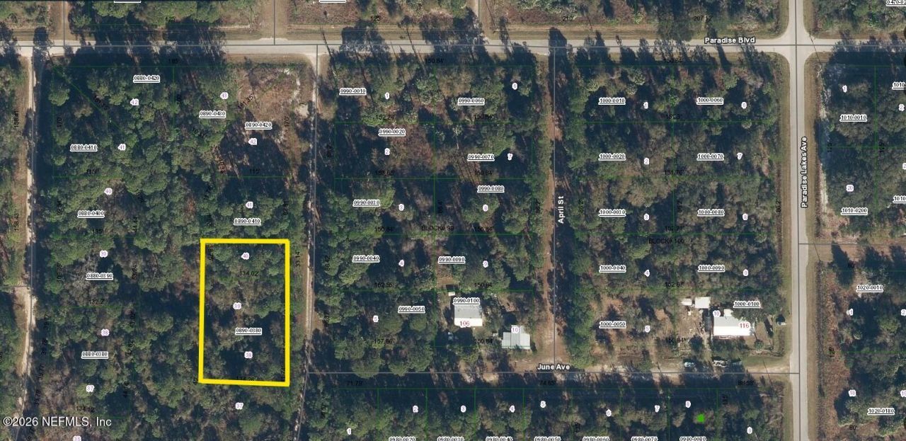 109 Anne Boulevard, Georgetown, FL 32139 Photo