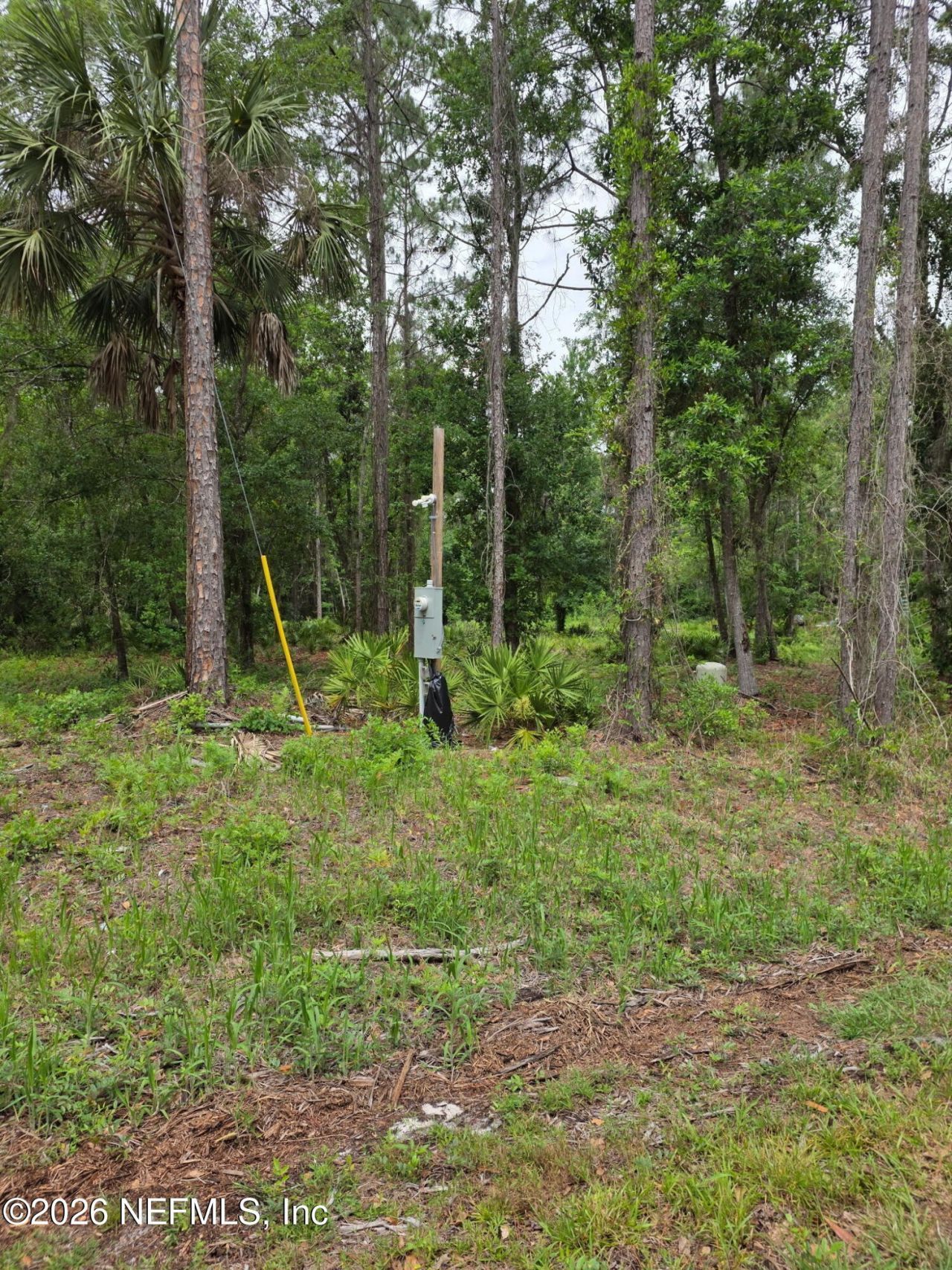 109 Anne Boulevard, Georgetown, FL 32139 Photo