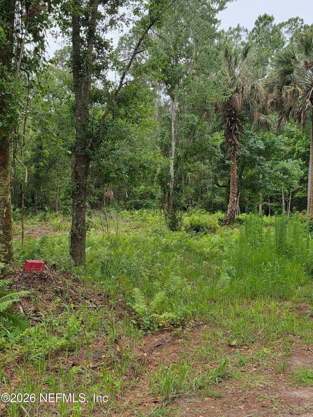 109 Anne Boulevard, Georgetown, FL 32139 Photo