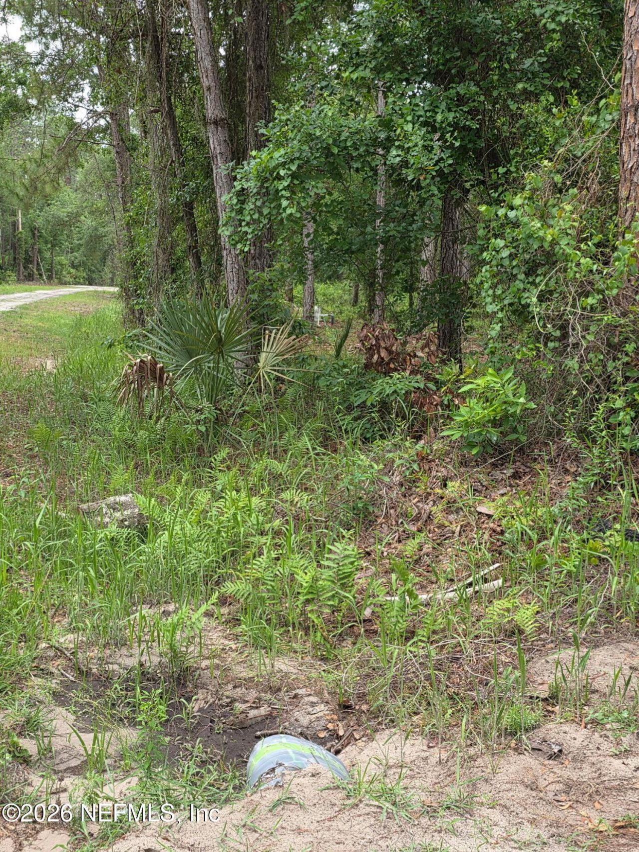 109 Anne Boulevard, Georgetown, FL 32139 Photo
