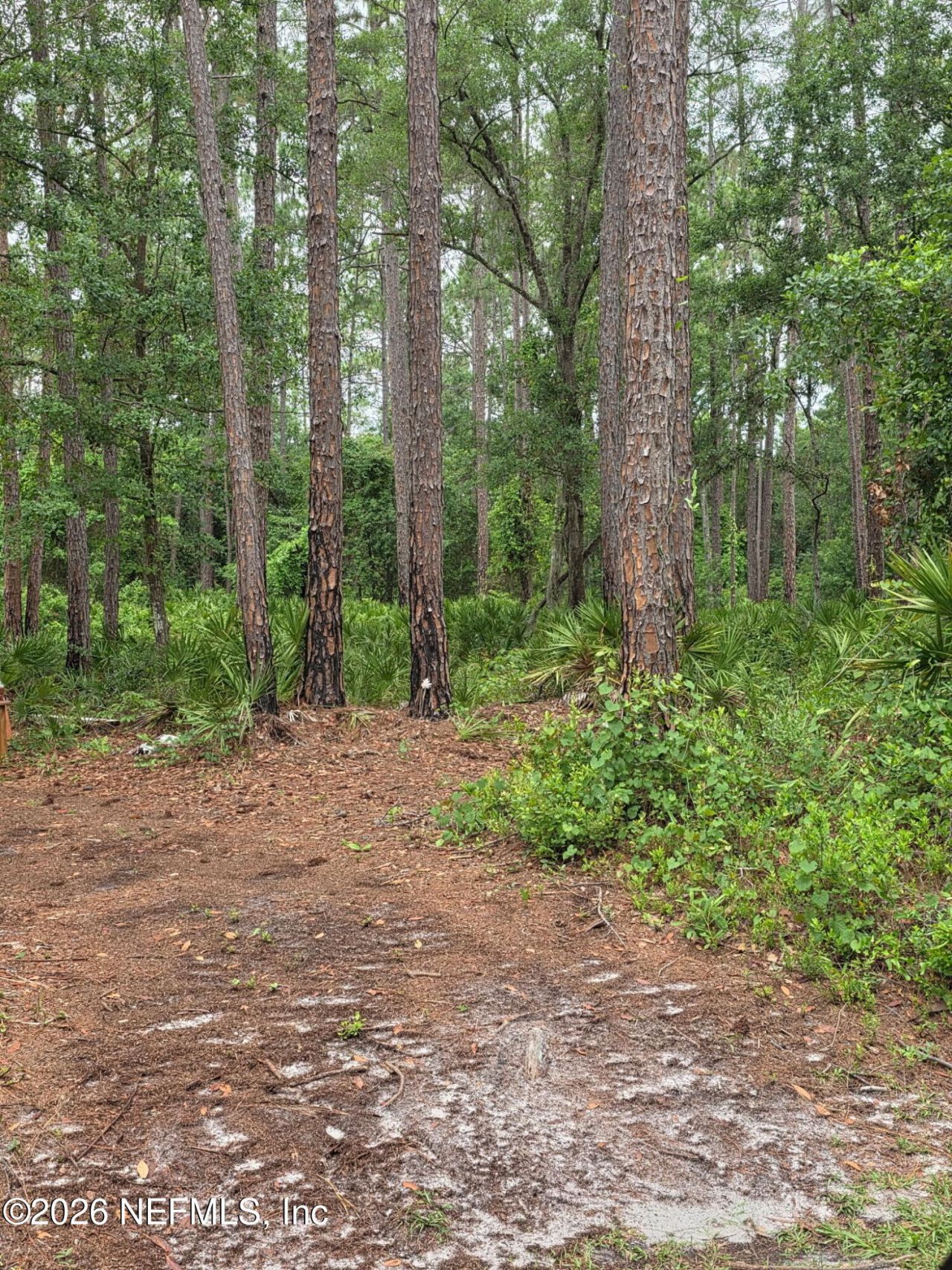 109 Anne Boulevard, Georgetown, FL 32139 Photo
