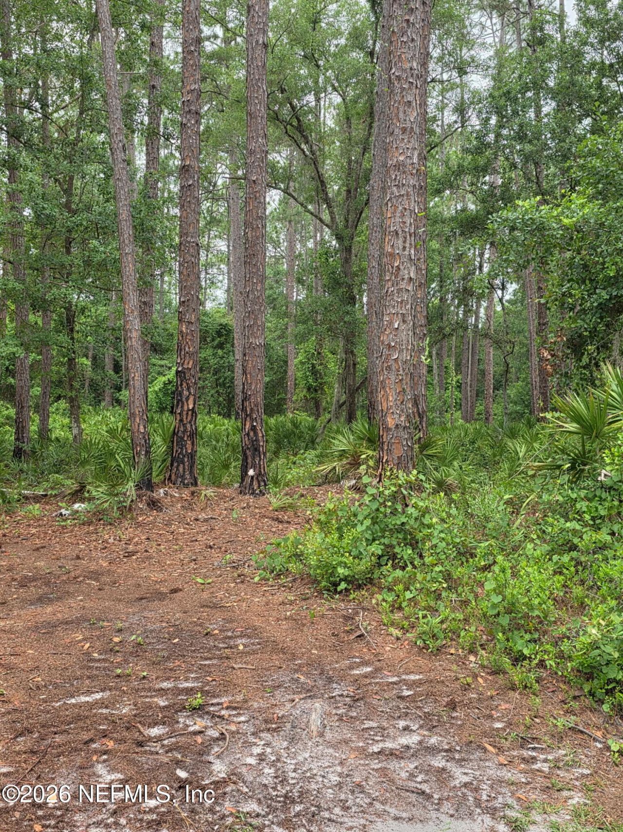 109 Anne Boulevard, Georgetown, FL 32139 Photo