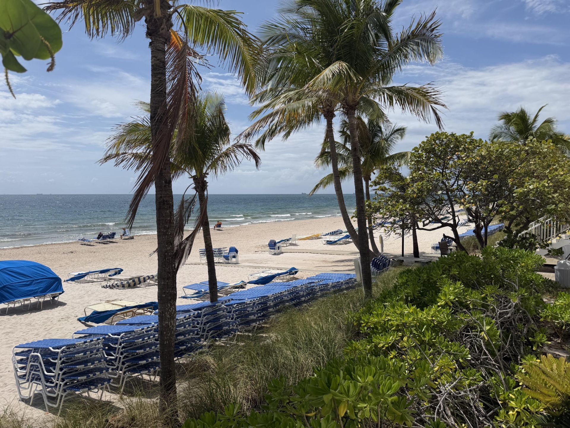 3500 Galt Ocean Drive, Unit 1503, Fort Lauderdale, FL 33308 Photo