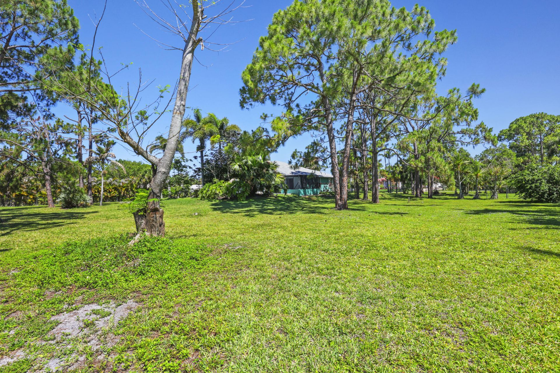 12668 82nd St Street N, The Acreage, FL 33412 Photo