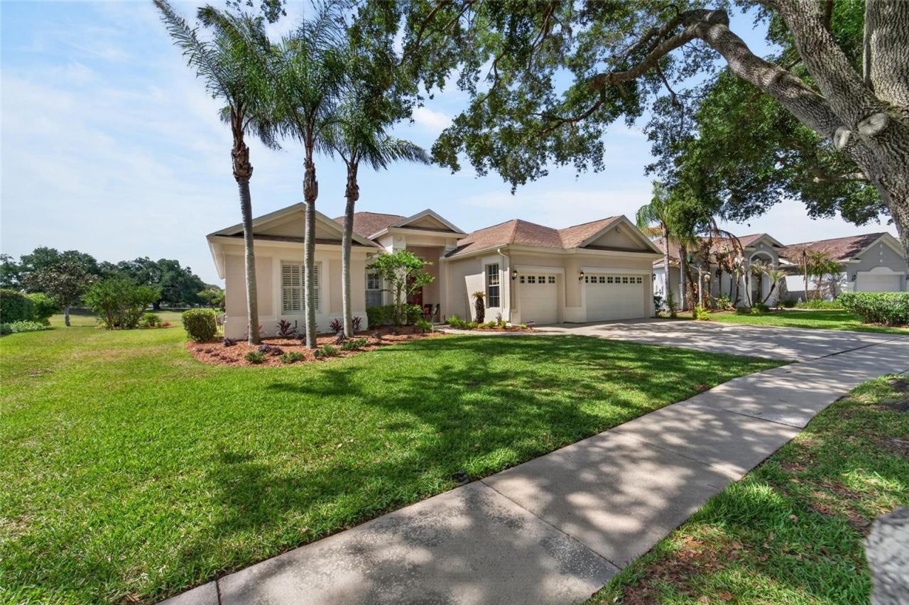 5218 Twin Creeks Drive, Valrico, FL 33596 Photo