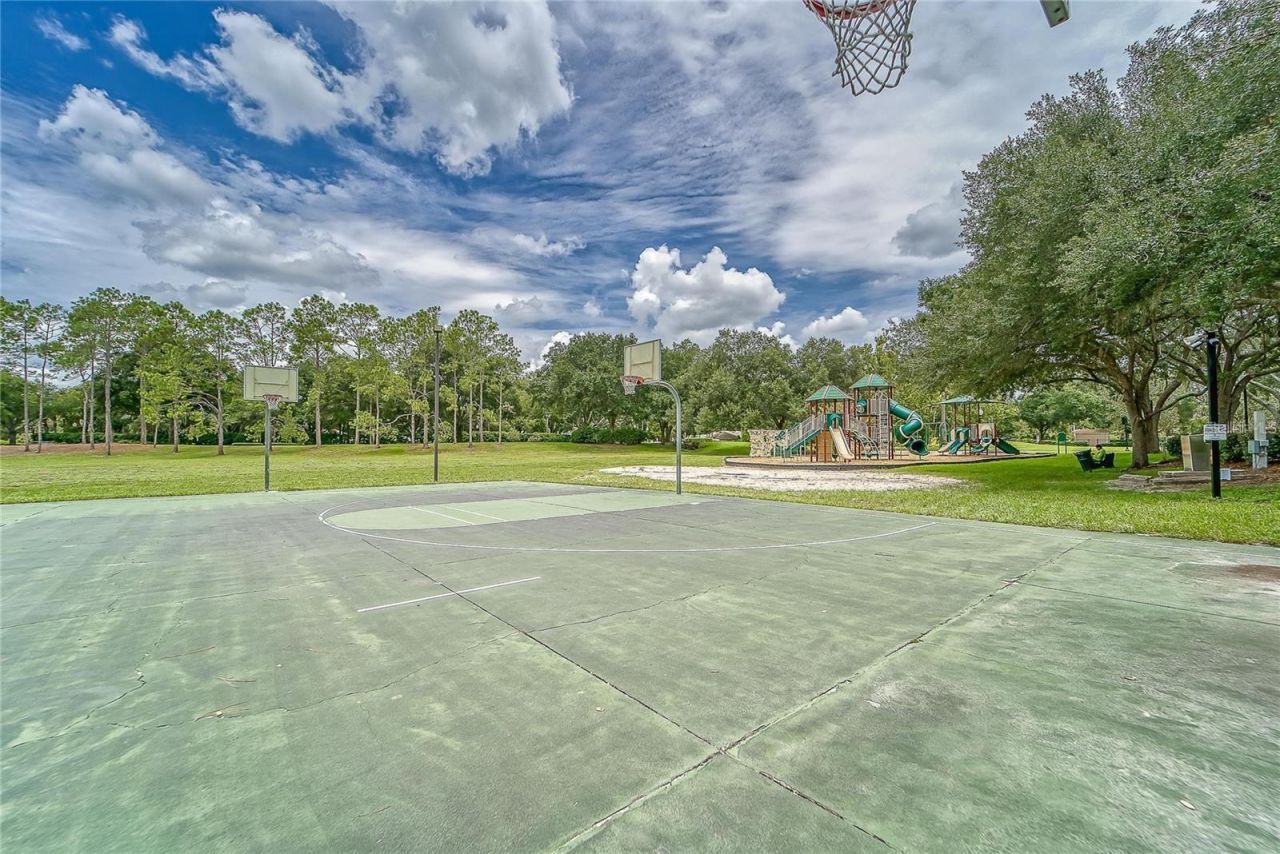 5218 Twin Creeks Drive, Valrico, FL 33596 Photo