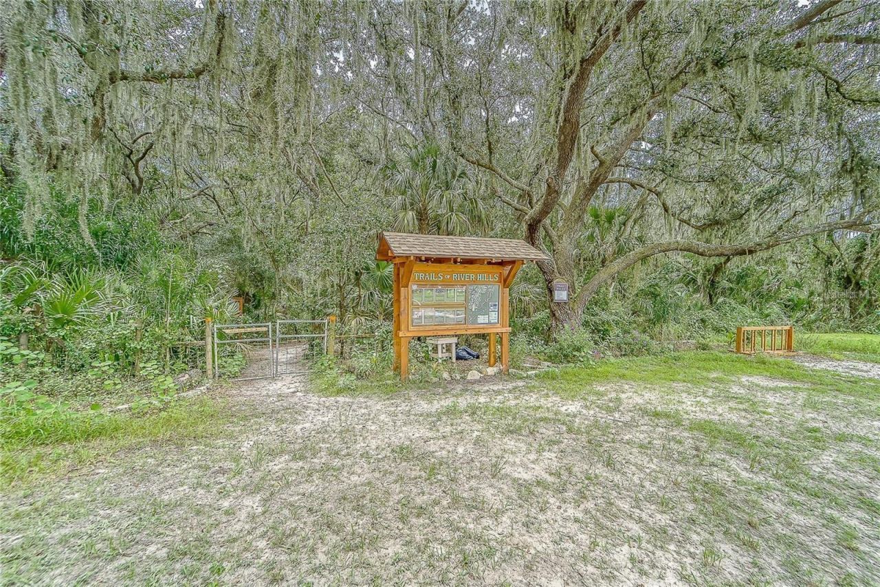 5218 Twin Creeks Drive, Valrico, FL 33596 Photo