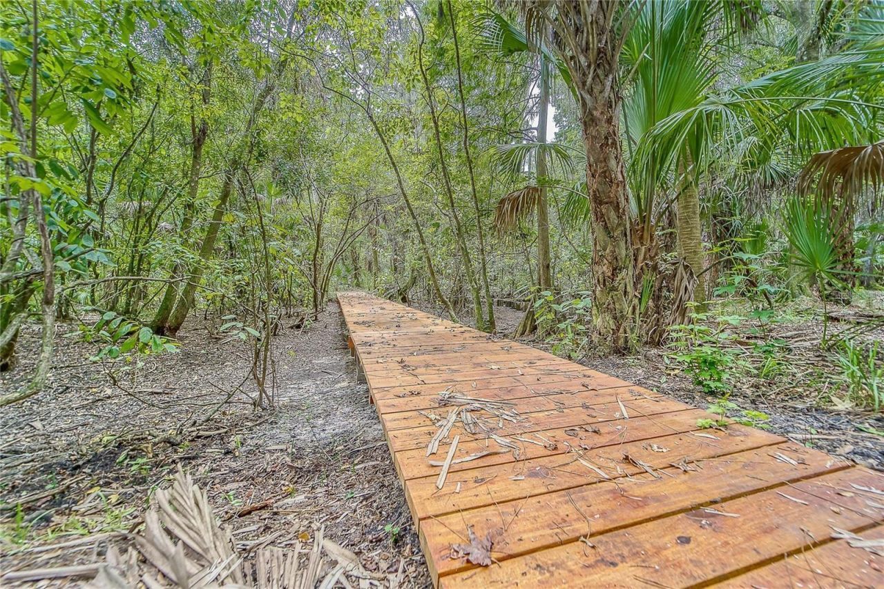 5218 Twin Creeks Drive, Valrico, FL 33596 Photo