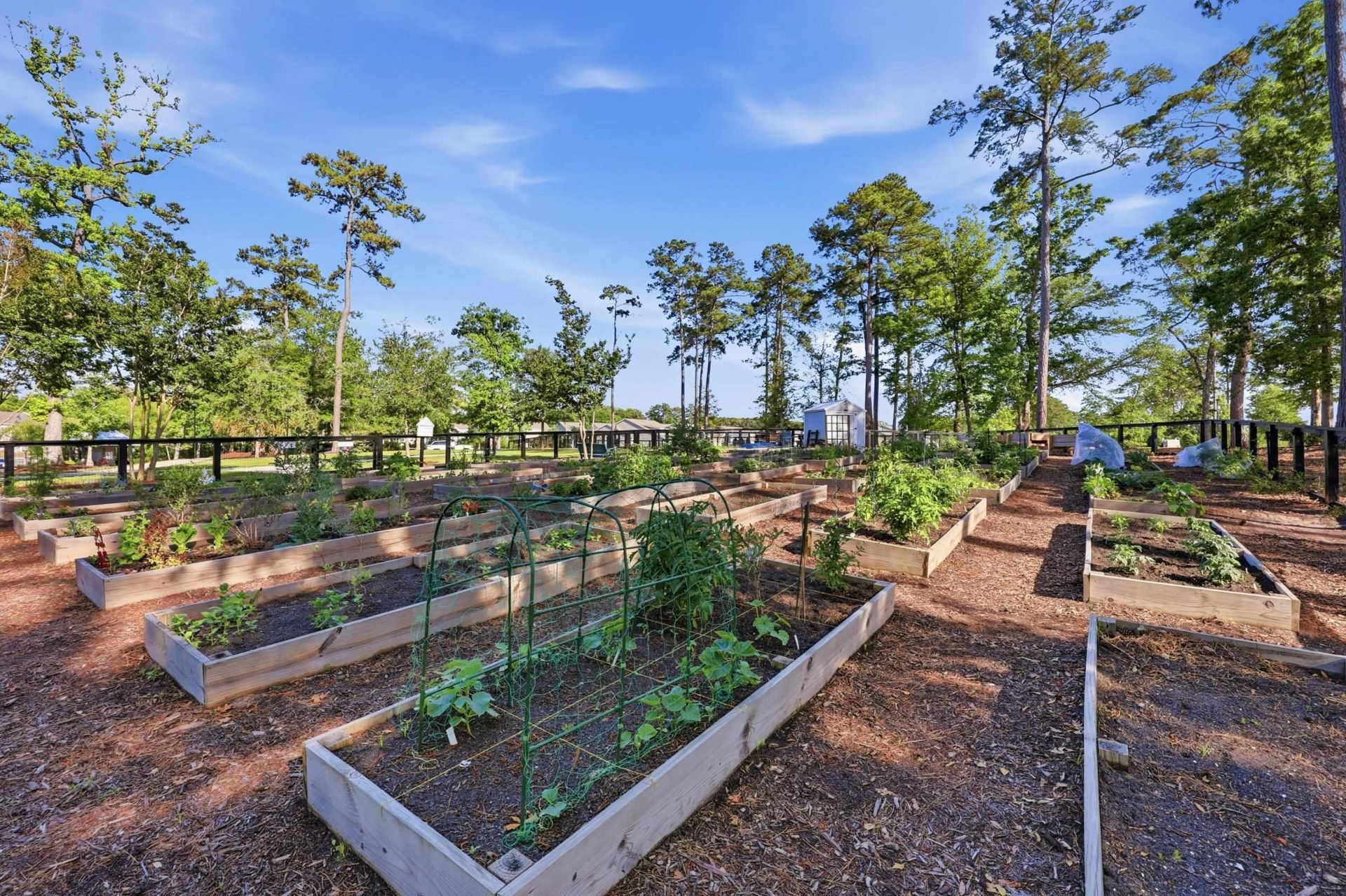 1412 Jardine Loop Photo 46