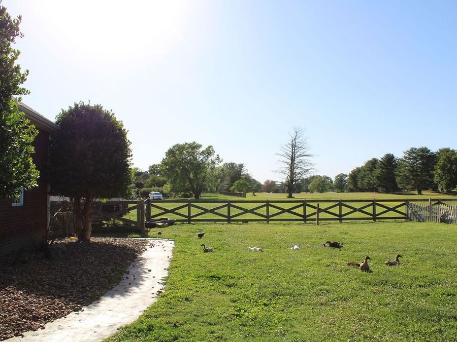 Property Image 44