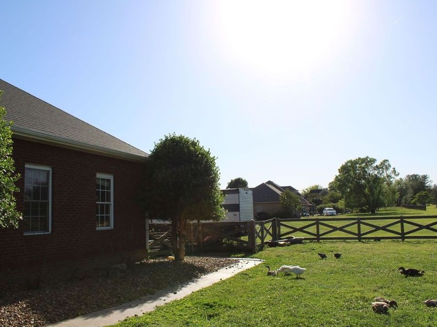 Property Image 46