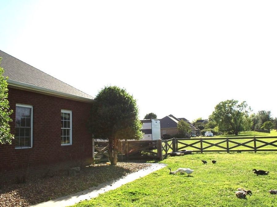 Property Image 54