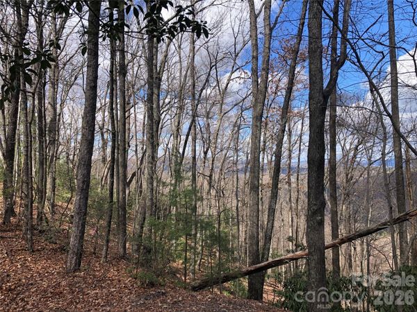 TBD Bobcat Mountain Road , Purlear, NC 28665