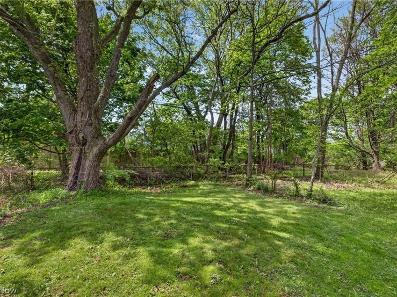 1276 Frederick Boulevard, Akron, OH 44320 Photo 25