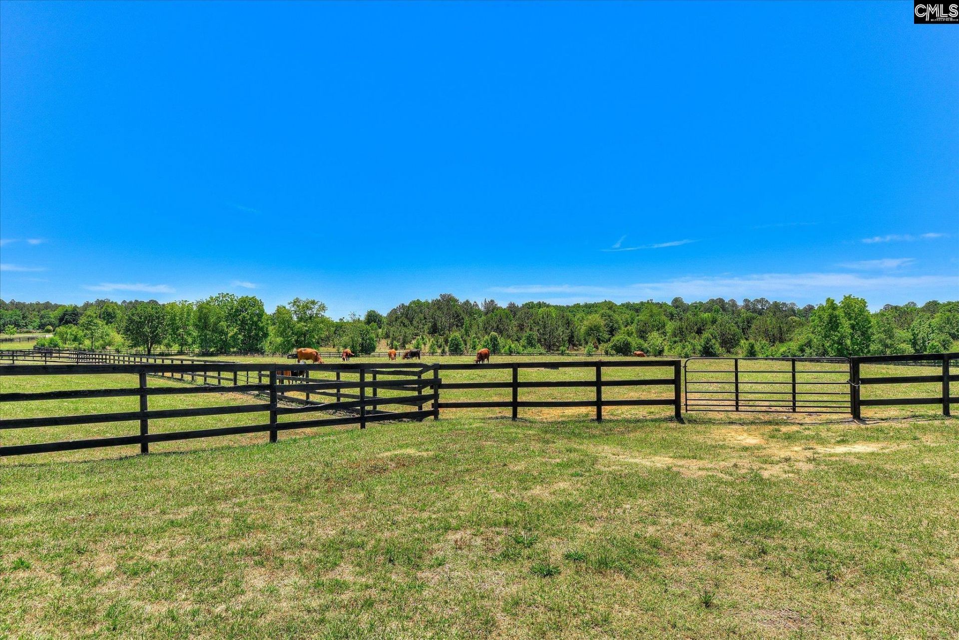 929 Airport Road  Photo 75