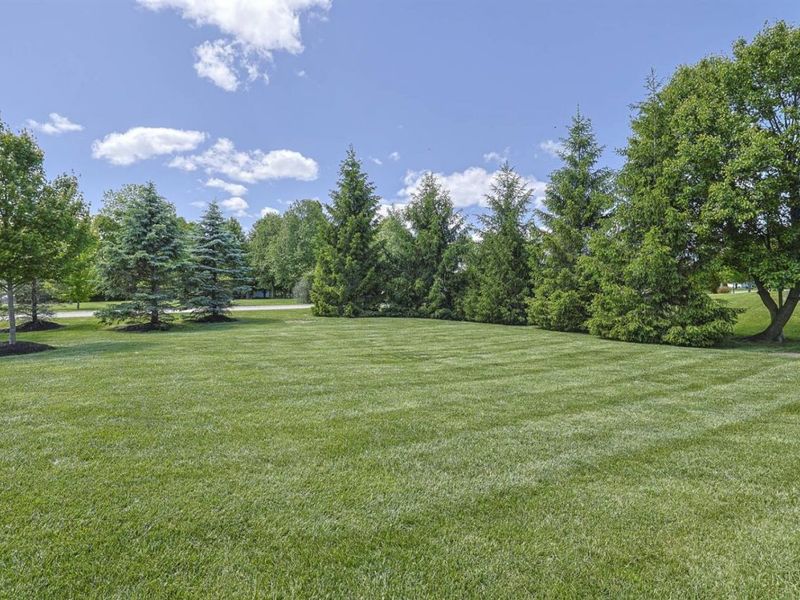 6463 Tree View Drive, Liberty Township, OH 45044 Photo 56