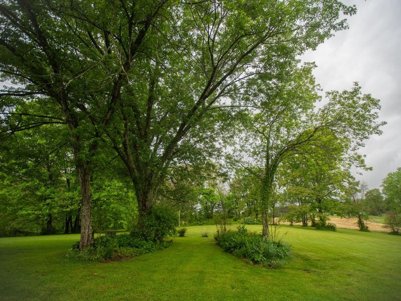 30033 State Route 143 , Unit S, Albany, OH 45710 Photo 12