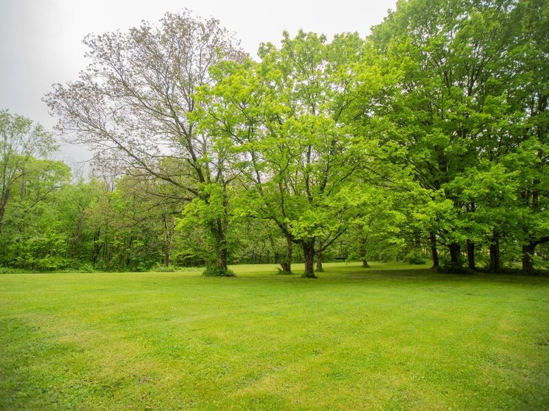 30033 State Route 143 , Unit S, Albany, OH 45710 Photo 66