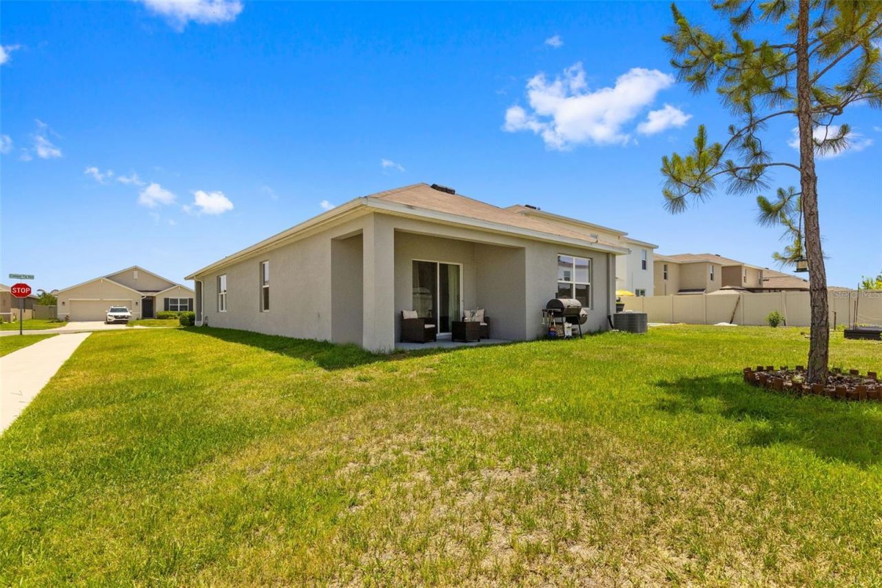 2959 Common Fig Run, Wesley Chapel, FL 33543 Photo