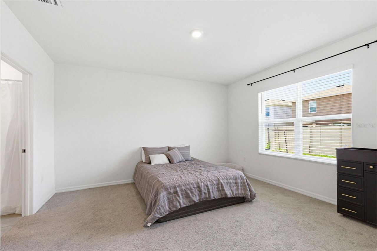 2959 Common Fig Run, Wesley Chapel, FL 33543 Photo