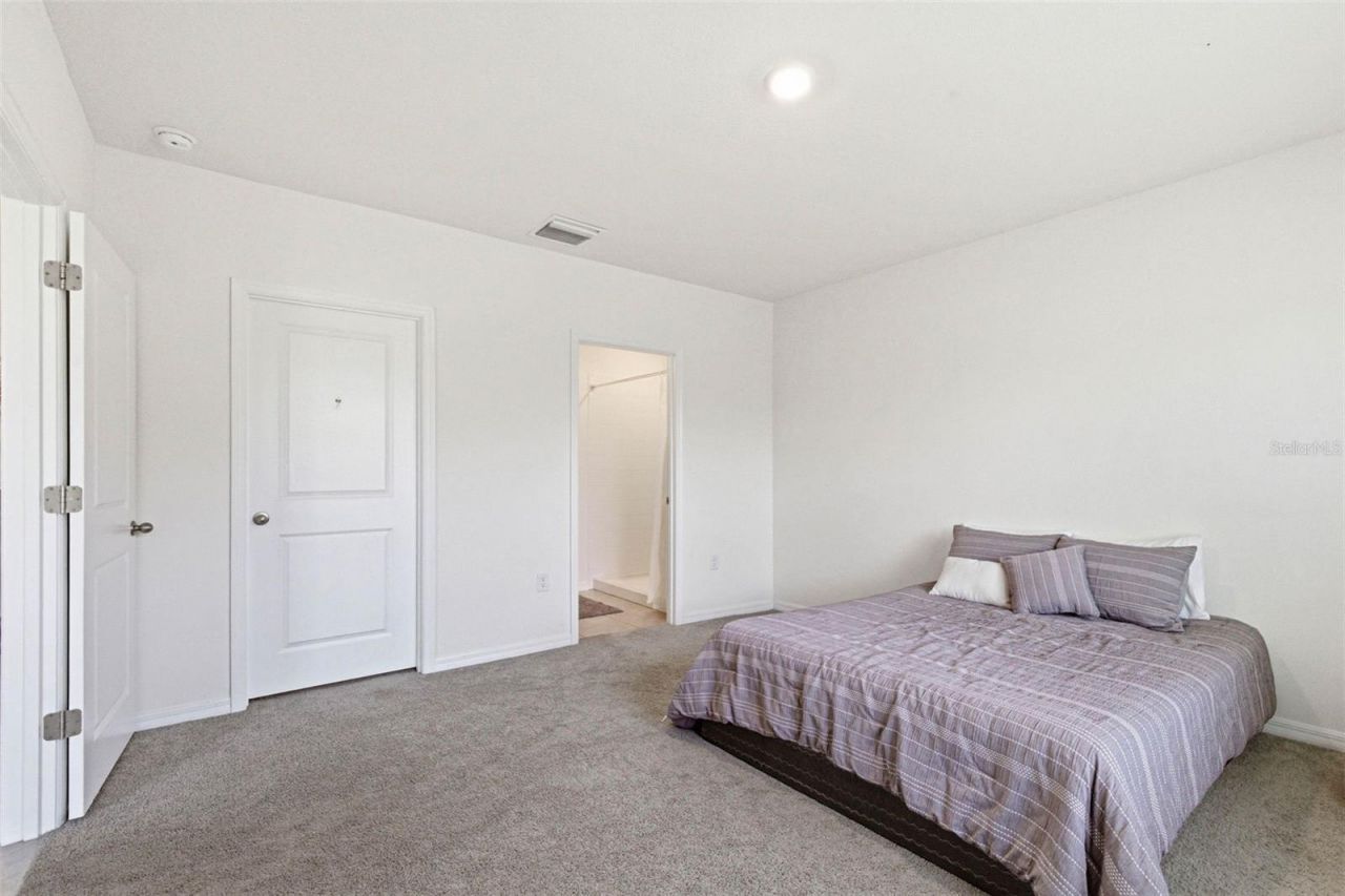 2959 Common Fig Run, Wesley Chapel, FL 33543 Photo