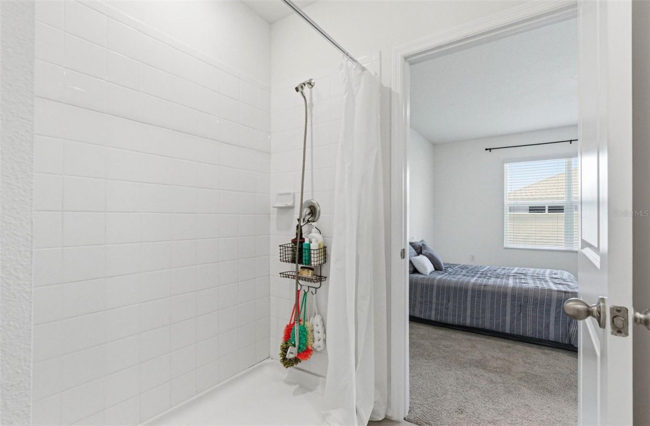 2959 Common Fig Run, Wesley Chapel, FL 33543 Photo